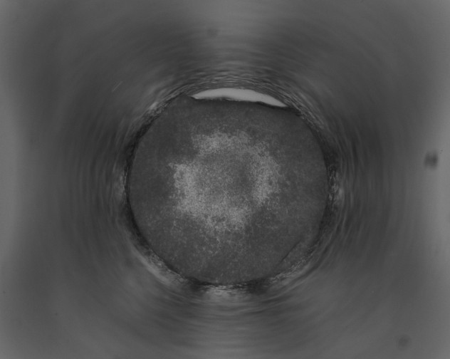 X0000091100568200708271319