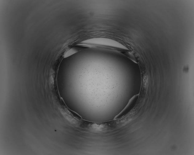 X0000091100570200708271319