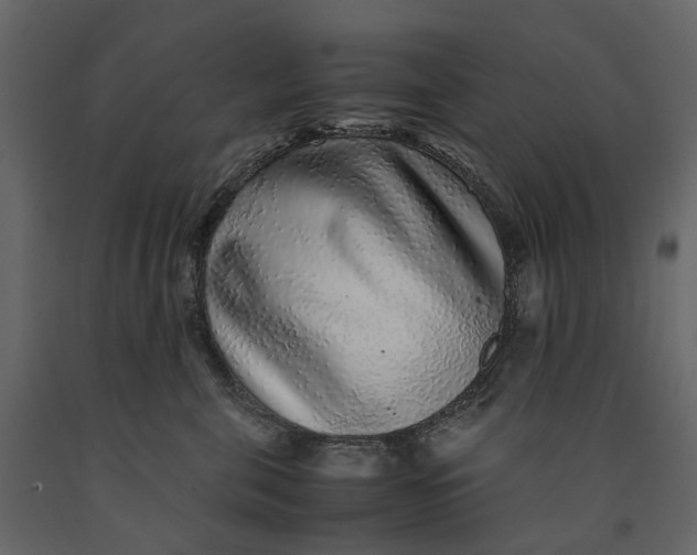 X0000091100571200708271319