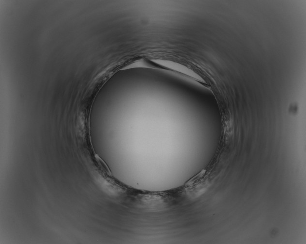 X0000091100572200708271319