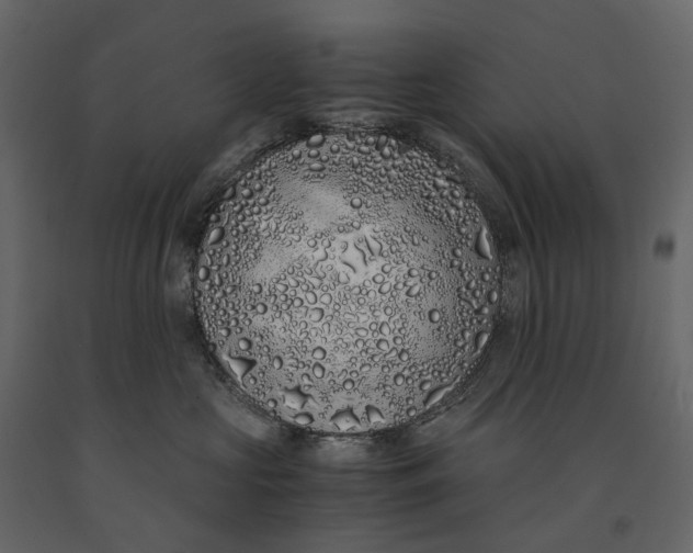 X0000091100573200708271319