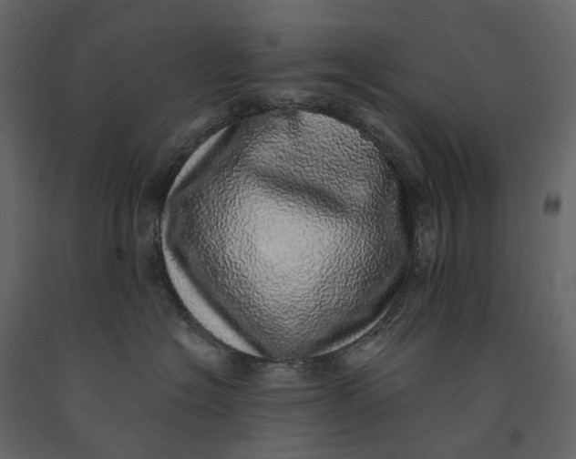 X0000091100574200708271319