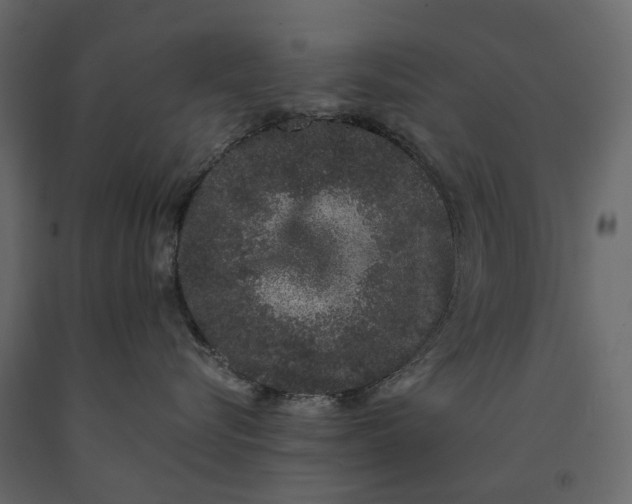 X0000091100576200708271319