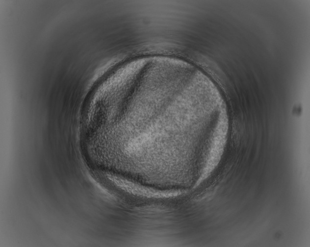 X0000091100578200708271318