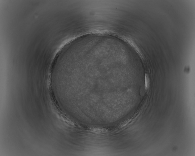 X0000091100579200708271318