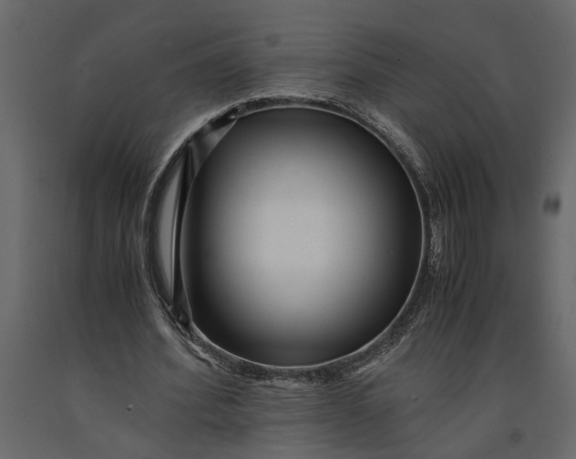 X0000091100580200708271318