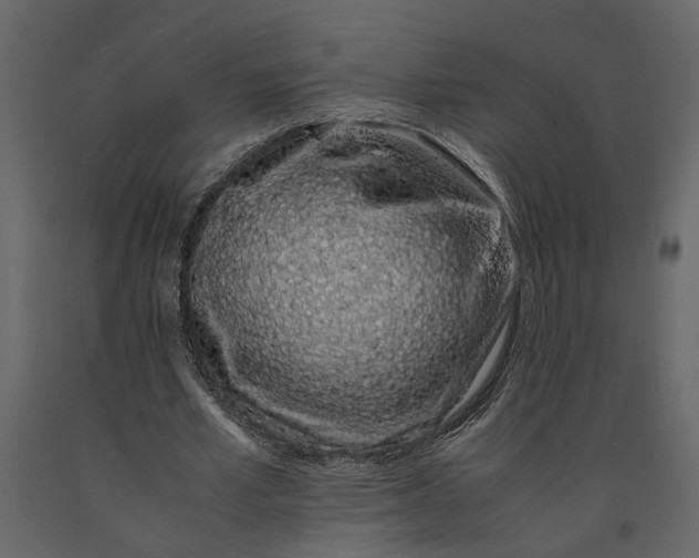 X0000091100581200708271318