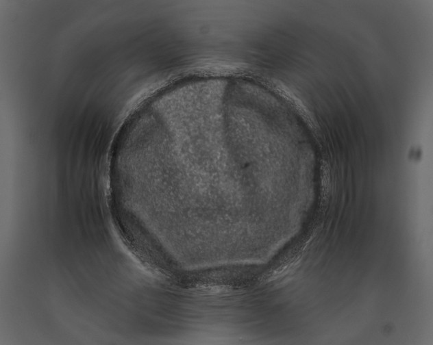 X0000091100582200708271318