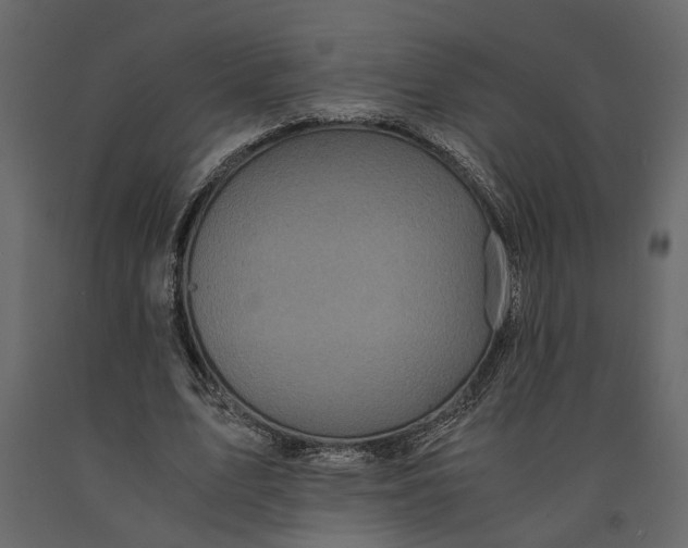 X0000091100583200708271318