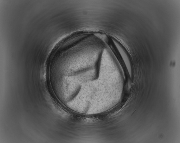 X0000091100584200708271318