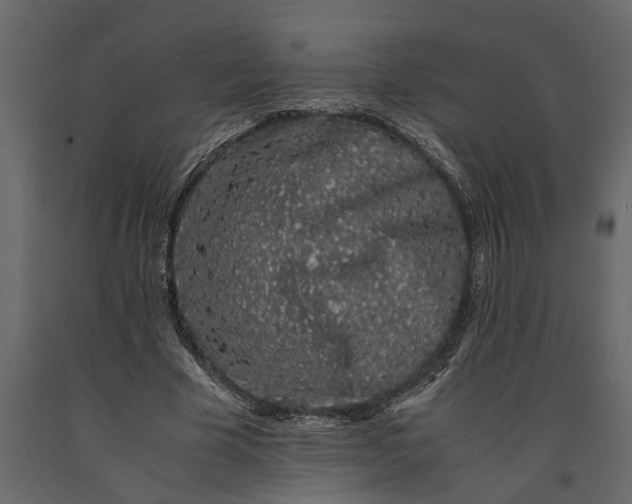 X0000091100585200708271318