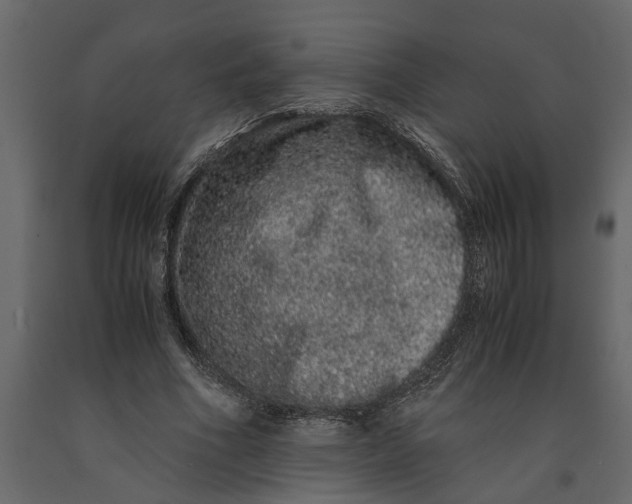 X0000091100586200708271318