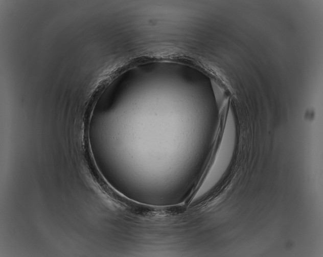 X0000091100589200708271318