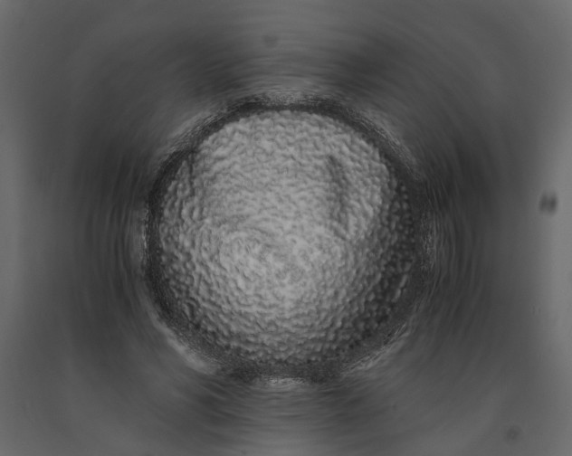 X0000091100590200708271318