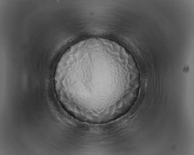 X0000091100591200708271318