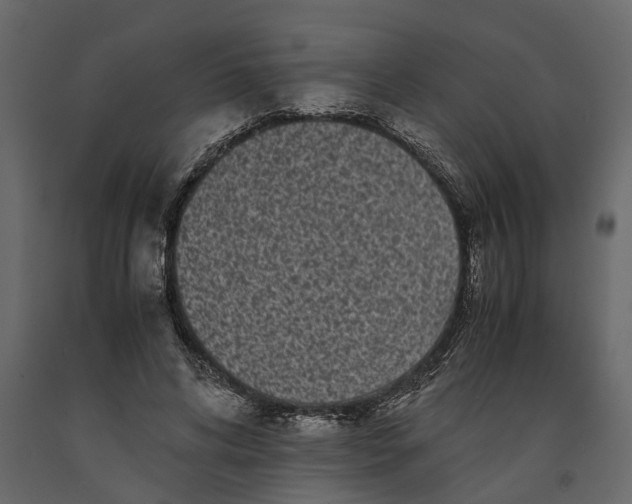 X0000091100592200708271318