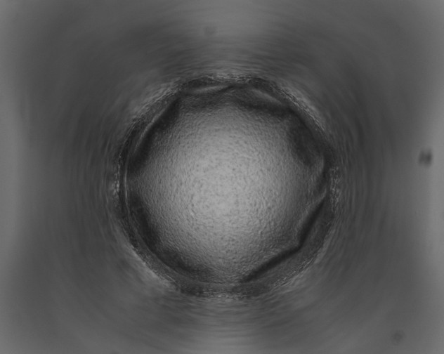 X0000091100593200708271318