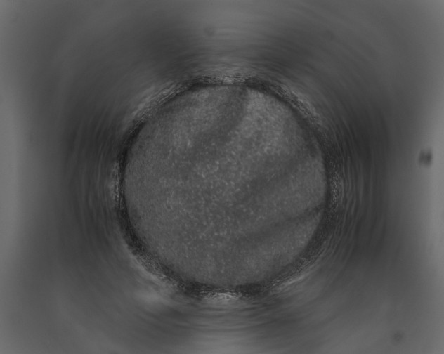 X0000091100594200708271318