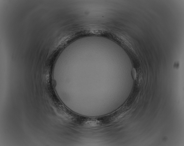 X0000091100595200708271318