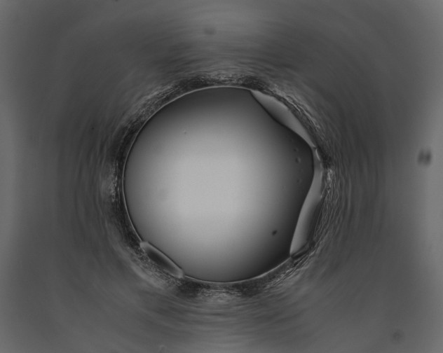 X0000091100597200708271318