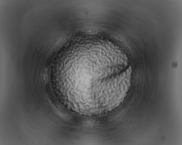 X0000091100598200708271318