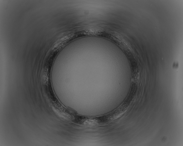 X0000091100599200708271318