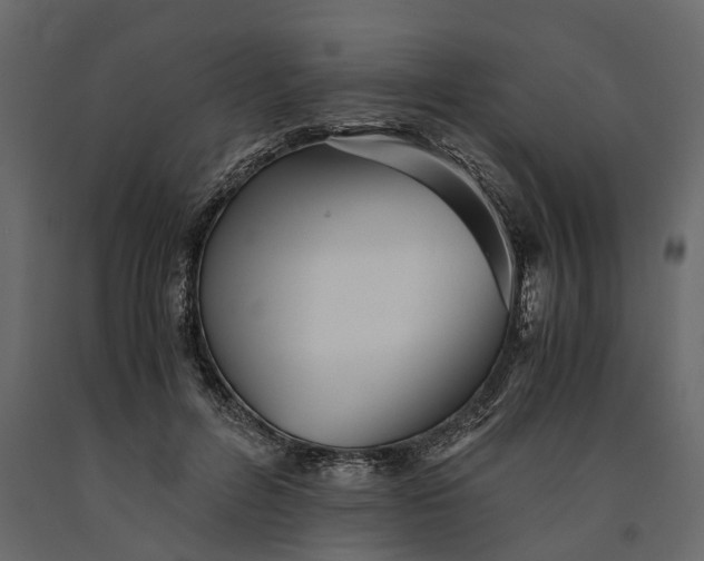 X0000091100600200708271318