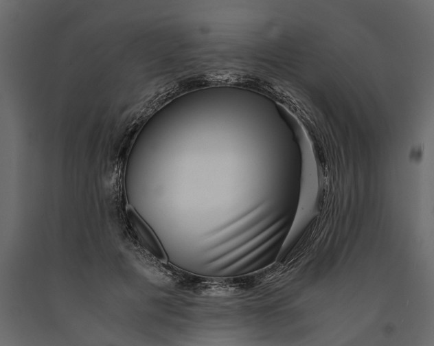 X0000091100601200708271318