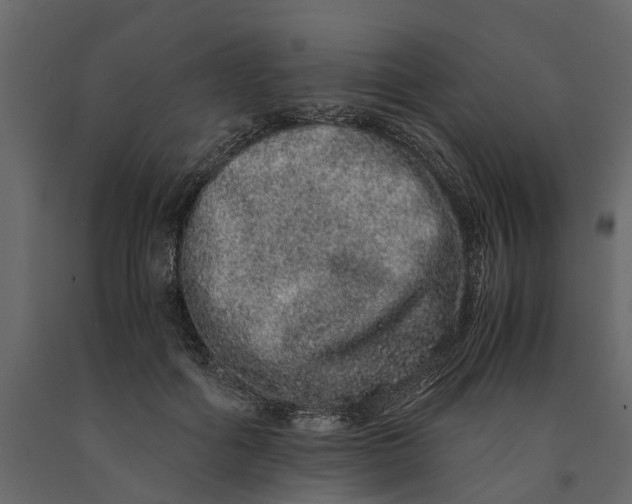 X0000091100602200708271318