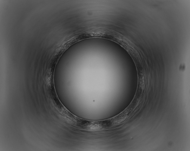 X0000091100604200708271318