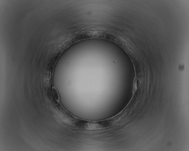 X0000091100605200708271318