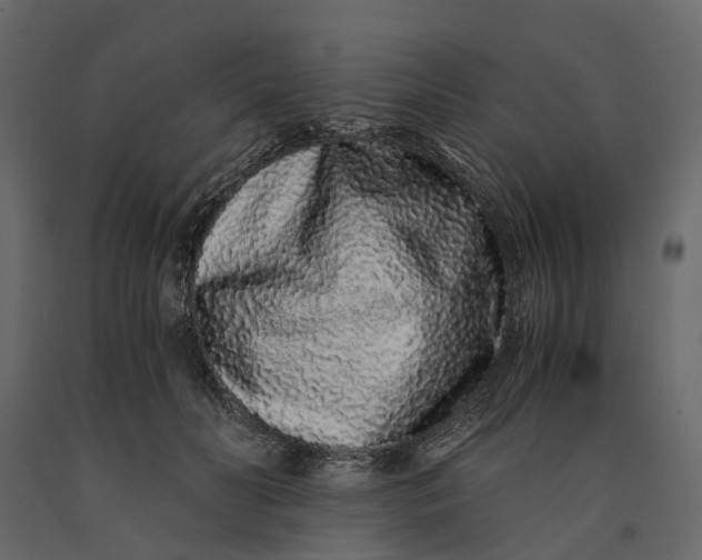 X0000091100606200708271318