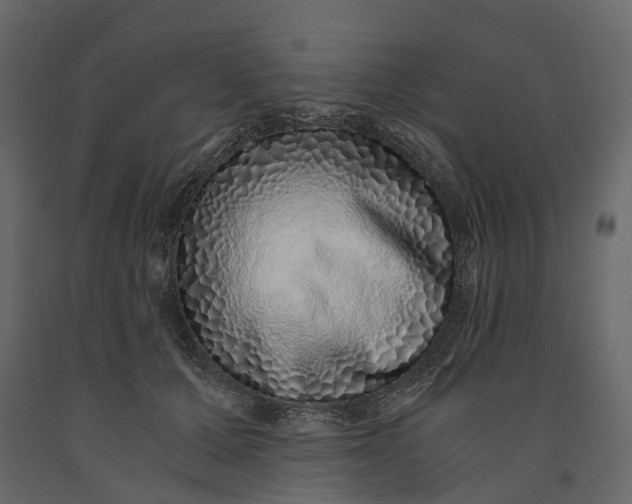 X0000091100607200708271318