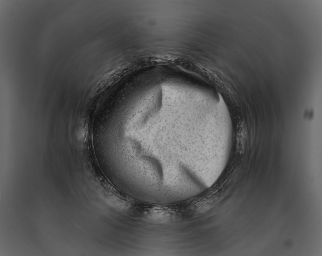 X0000091100608200708271318