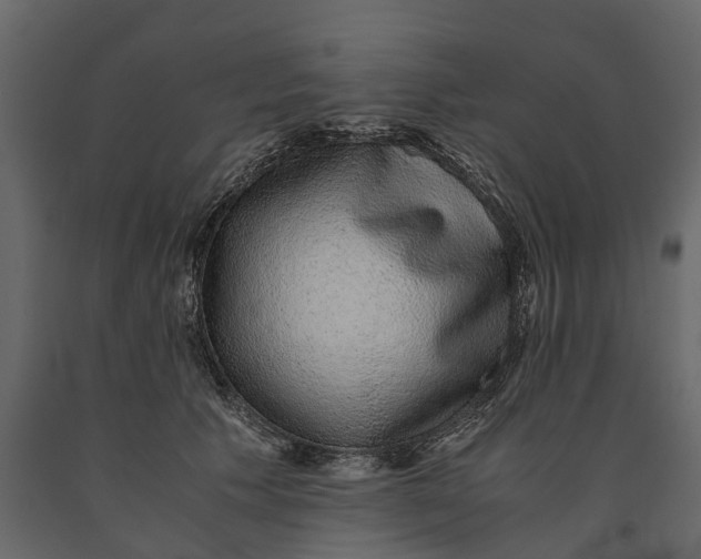 X0000091100609200708271318