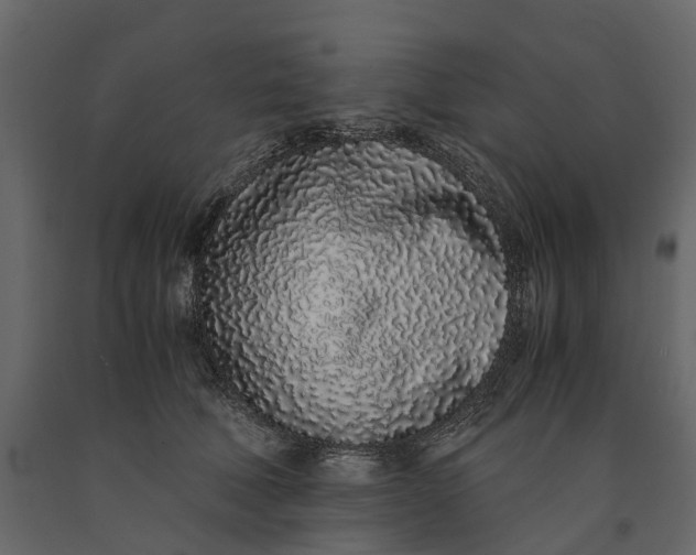 X0000091100610200708271318