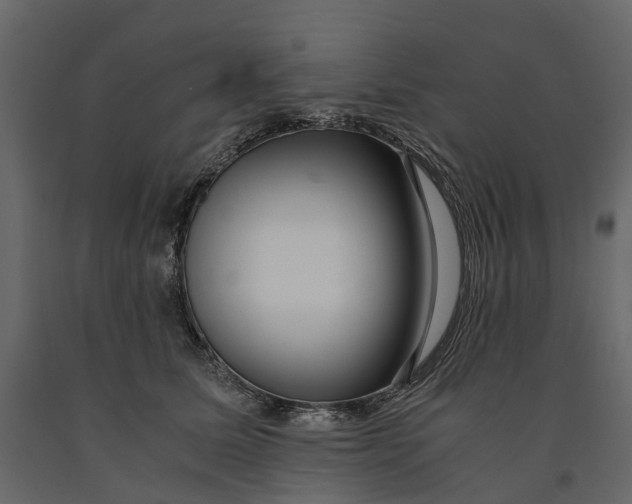 X0000091100611200708271318