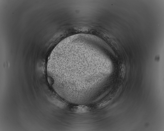 X0000091100612200708271318