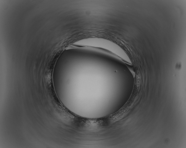 X0000091100613200708271318