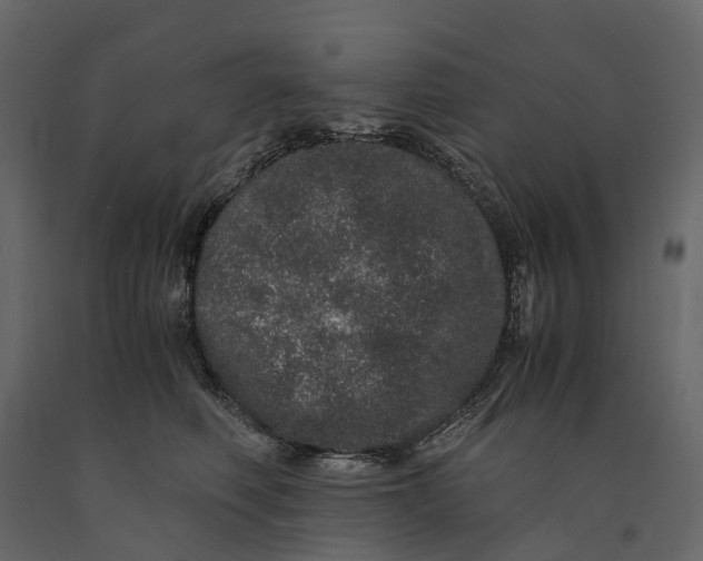 X0000091100614200708271318