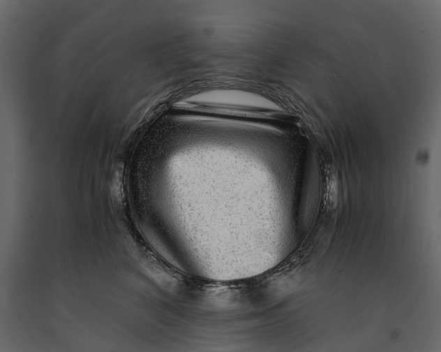 X0000091100616200708271318