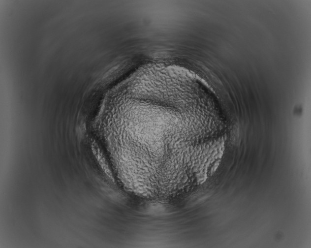 X0000091100618200708271318