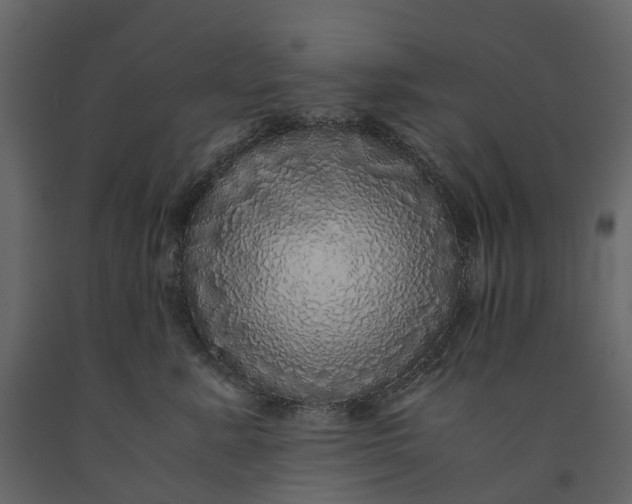 X0000091100619200708271318