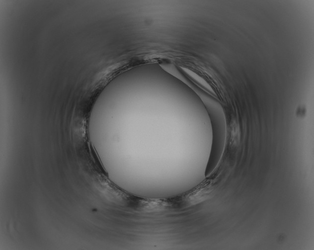 X0000091100621200708271318