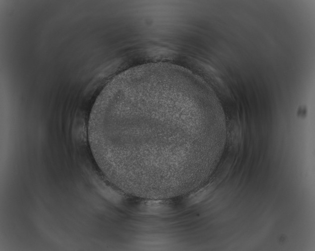 X0000091100622200708271317