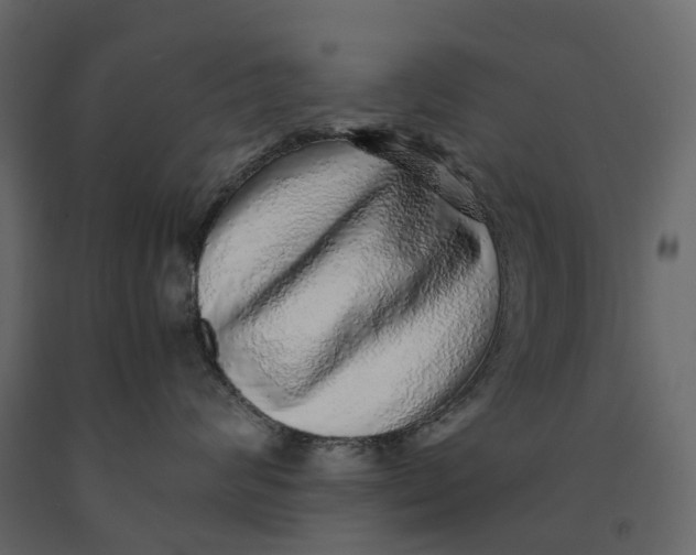 X0000091100624200708271317