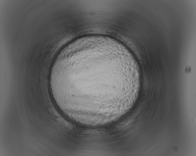 X0000091100625200708271317