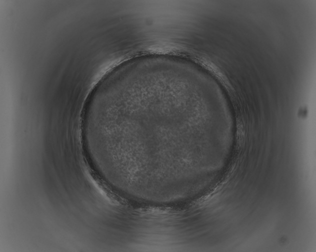 X0000091100626200708271317