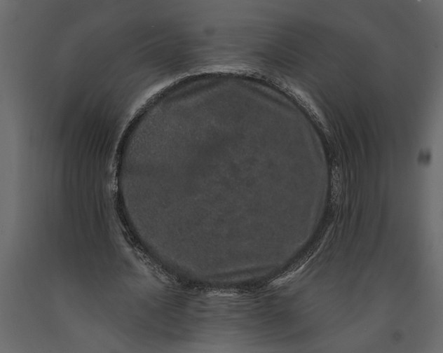 X0000091100628200708271317