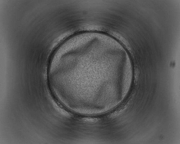 X0000091100629200708271317